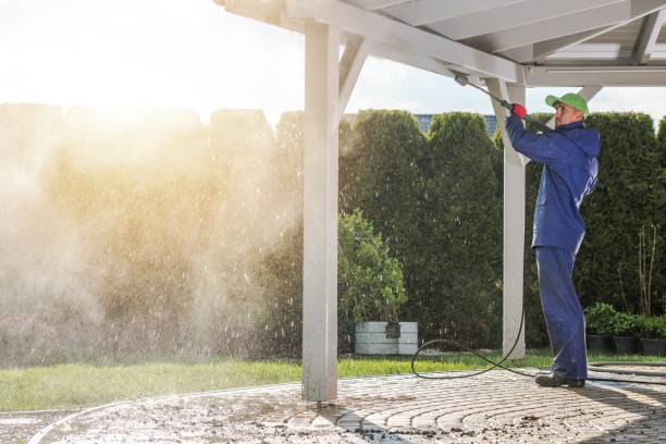 Best Gutter Cleaning  in Youngstown, NY